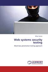 Web systems security testing