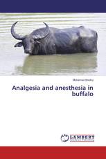 Analgesia and anesthesia in buffalo