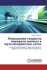 Повышение скорости передачи данных в мультисервисных сетях