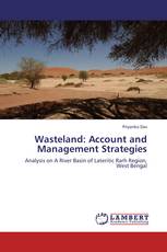 Wasteland: Account and  Management Strategies