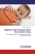 Objects and Concepts from the Infant's View