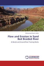 Flow and Erosion in Sand Bed Braided River