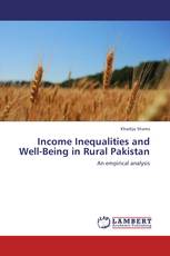 Income Inequalities and Well-Being in Rural Pakistan