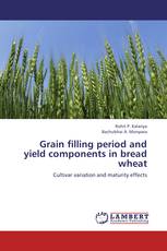 Grain filling period and yield components in bread wheat