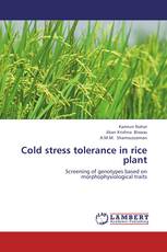 Cold stress tolerance in rice plant
