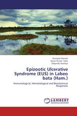 Epizootic Ulcerative Syndrome (EUS) in  Labeo bata (Ham.)