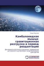Камбаловидная мышца: гравитационная разгрузка и период реадаптации