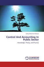 Control And Accounting In Public Sector