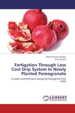 Fertigation Through Low Cost Drip System In Newly Planted Pomegranate