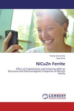 NiCuZn Ferrite