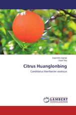 Citrus Huanglonbing