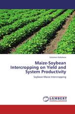 Maize-Soybean Intercropping on Yield and System Productivity