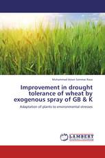 Improvement in drought tolerance of wheat by exogenous spray of GB & K