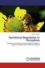 Nutritional Regulation in Honeybees