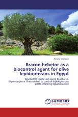 Bracon hebetor as a biocontrol agent for olive lepidopterans in Egypt