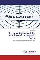 Investigation of cellular functions of tetraspanin  CD63