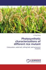 Photosynthetic characterizations of different rice mutant