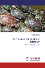 Turtle and its Realistic Entropy