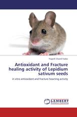 Antioxidant and Fracture healing activity of Lepidium sativum seeds
