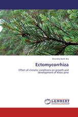 Ectomycorrhiza