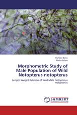 Morphometric Study of Male Population of Wild Notopterus notopterus