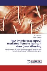 RNA interference (RNAi) mediated Tomato leaf curl virus gene silencing