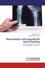 Simvastatin and segmental bone healing