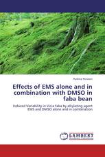 Effects of EMS alone and in combination with DMSO  in faba bean