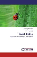 Cereal Beetles