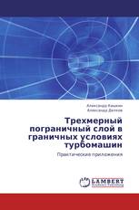 Трехмерный пограничный слой в граничных условиях турбомашин