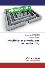 The Effects of privatization on productivity
