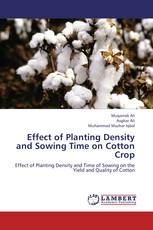 Effect of Planting Density and Sowing Time on  Cotton Crop