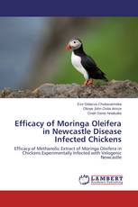 Efficacy of Moringa Oleifera in Newcastle Disease Infected Chickens