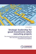 Strategic leadership for good investments when executing projects