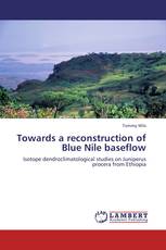Towards a reconstruction of Blue Nile baseflow