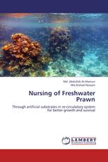 Nursing of Freshwater Prawn