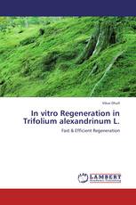 In vitro Regeneration in Trifolium alexandrinum L.