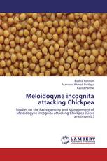 Meloidogyne incognita attacking Chickpea
