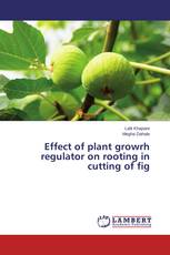 Effect of plant growrh regulator on rooting in cutting of fig