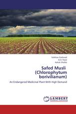 Safed Musli   (Chlorophytum borivilianum)