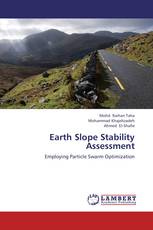Earth Slope Stability Assessment