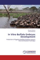 In Vitro Buffalo Embryos Development