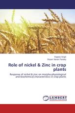 Role of nickel & Zinc in crop plants