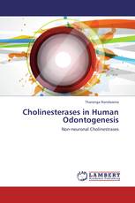 Cholinesterases in Human Odontogenesis