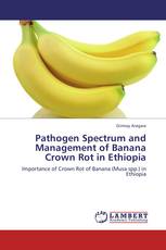 Pathogen Spectrum and Management of Banana Crown Rot in Ethiopia