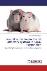 Neural activation in the rat olfactory systems in social recognition