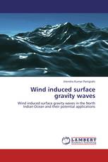 Wind induced surface gravity waves