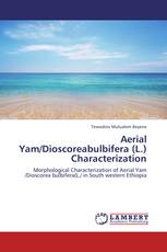 Aerial Yam/Dioscoreabulbifera (L.) Characterization