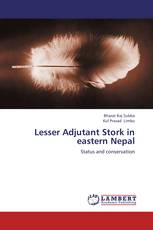 Lesser Adjutant Stork in eastern Nepal