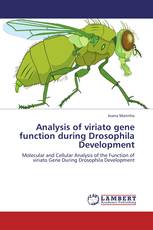Analysis of viriato gene function during Drosophila Development